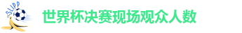 世界杯决赛现场观众人数